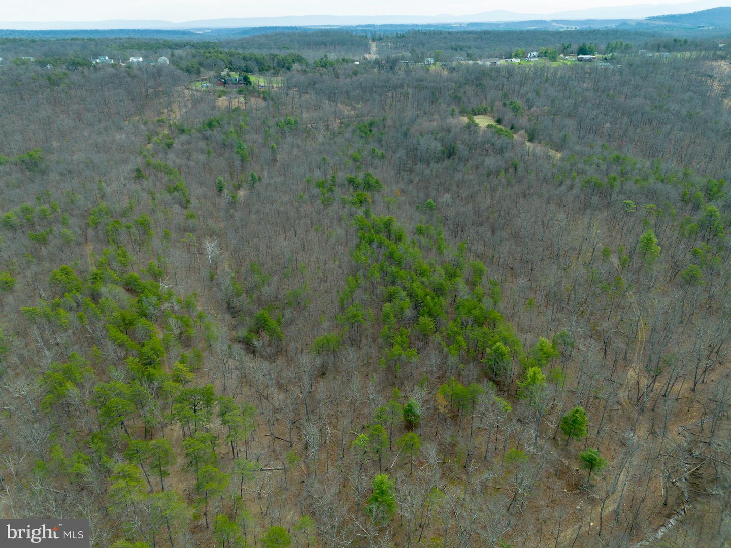 Wardensville Grade Property Photo 37