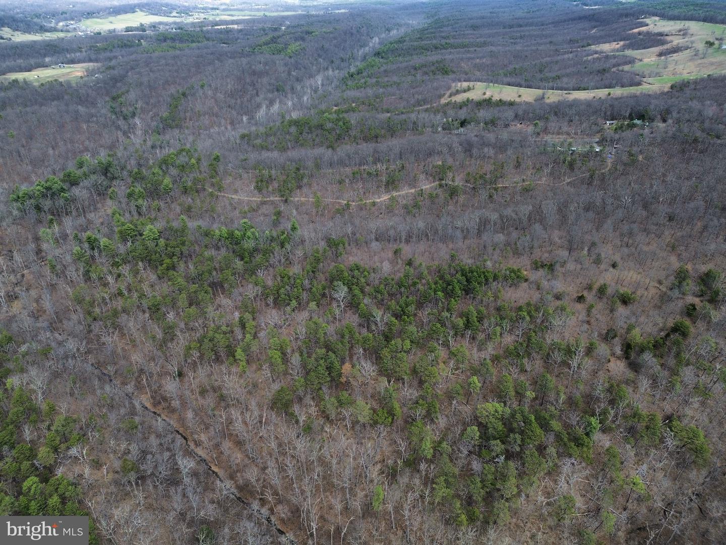 Wardensville Grade Property Photo 42