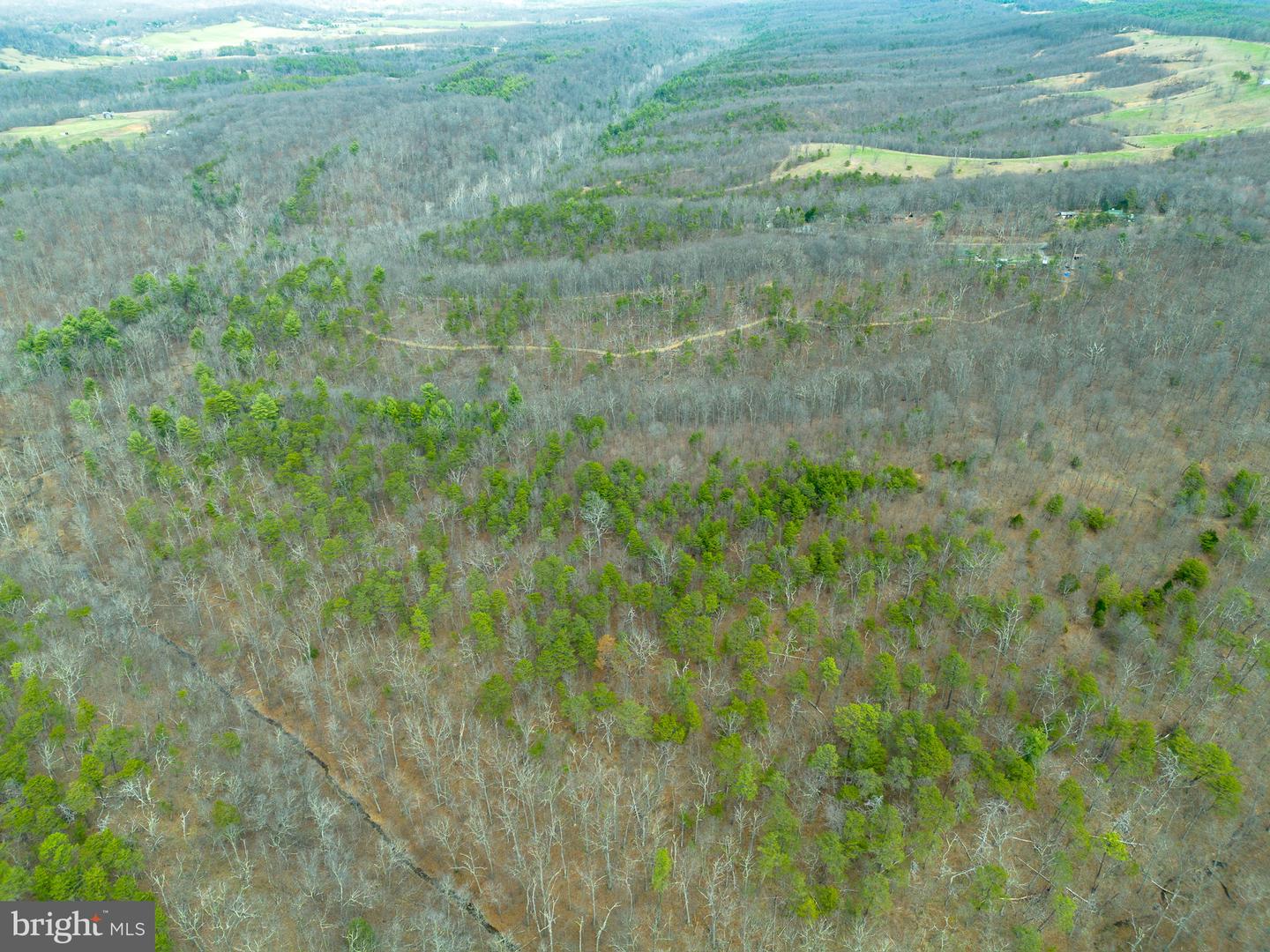 Wardensville Grade Property Photo 47