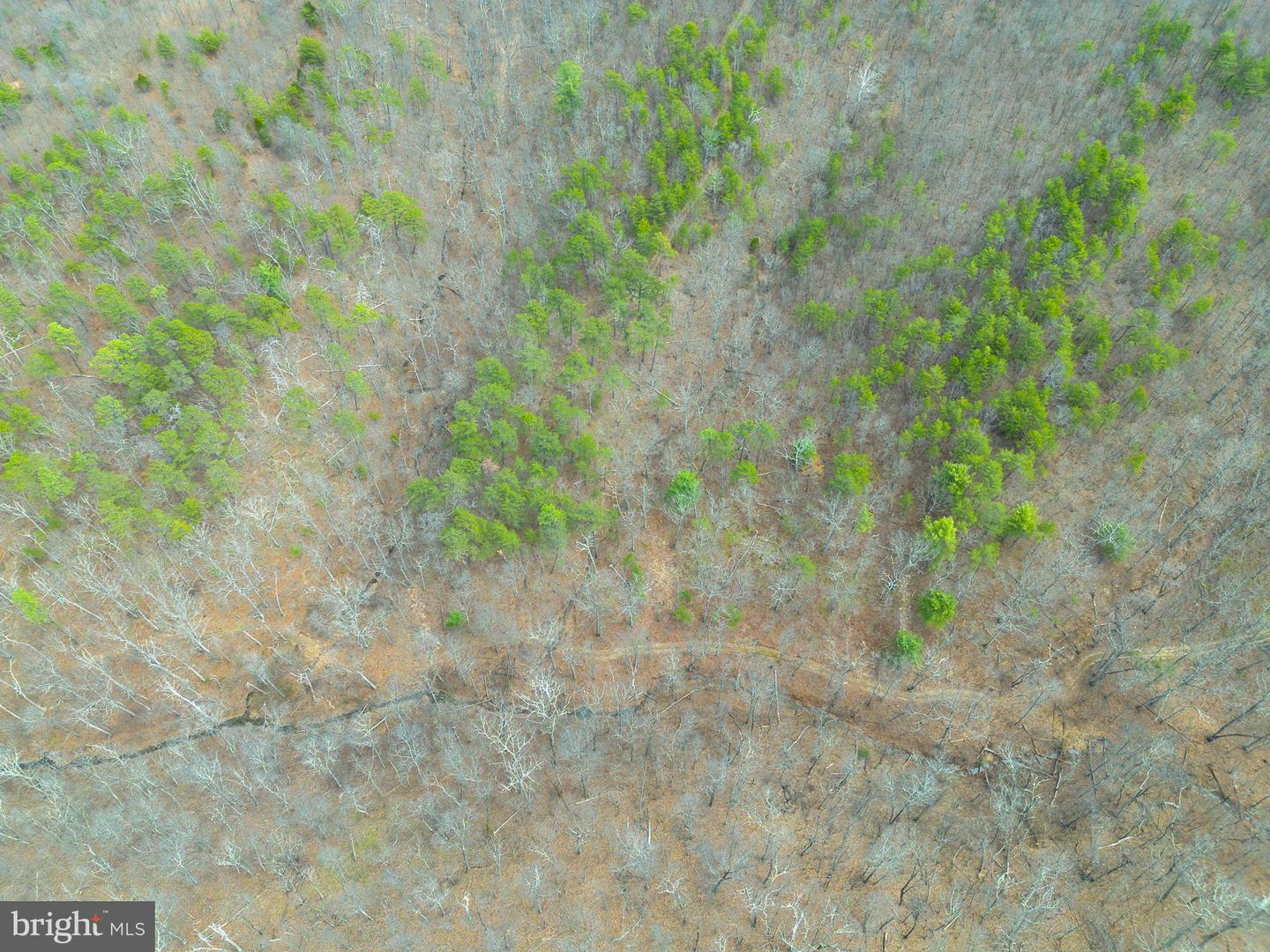 Wardensville Grade Property Photo 48