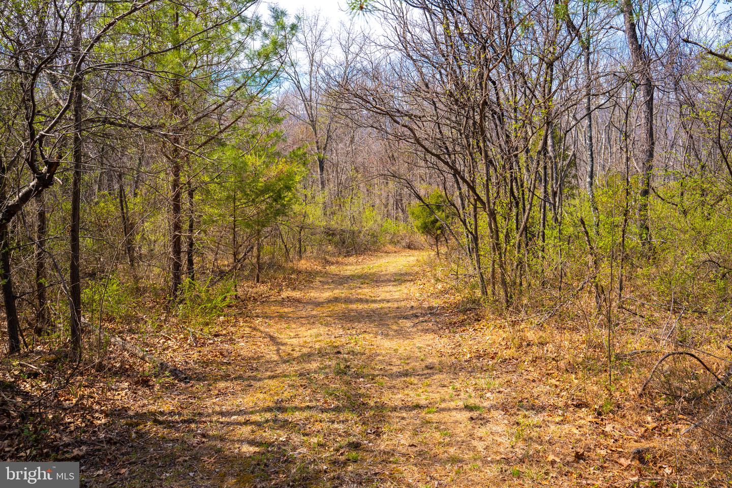 Wardensville Grade Property Photo 49