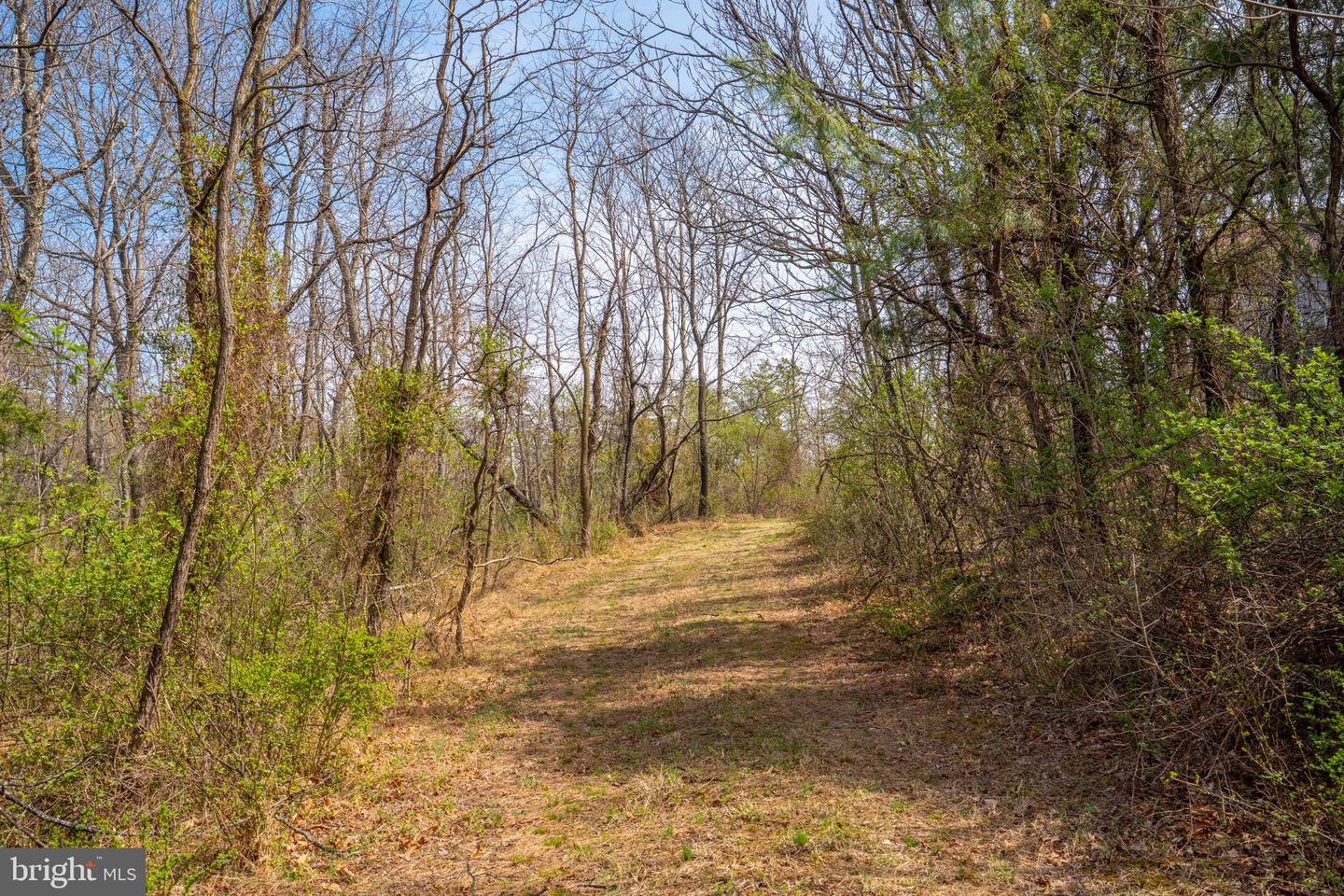 Wardensville Grade Property Photo 50
