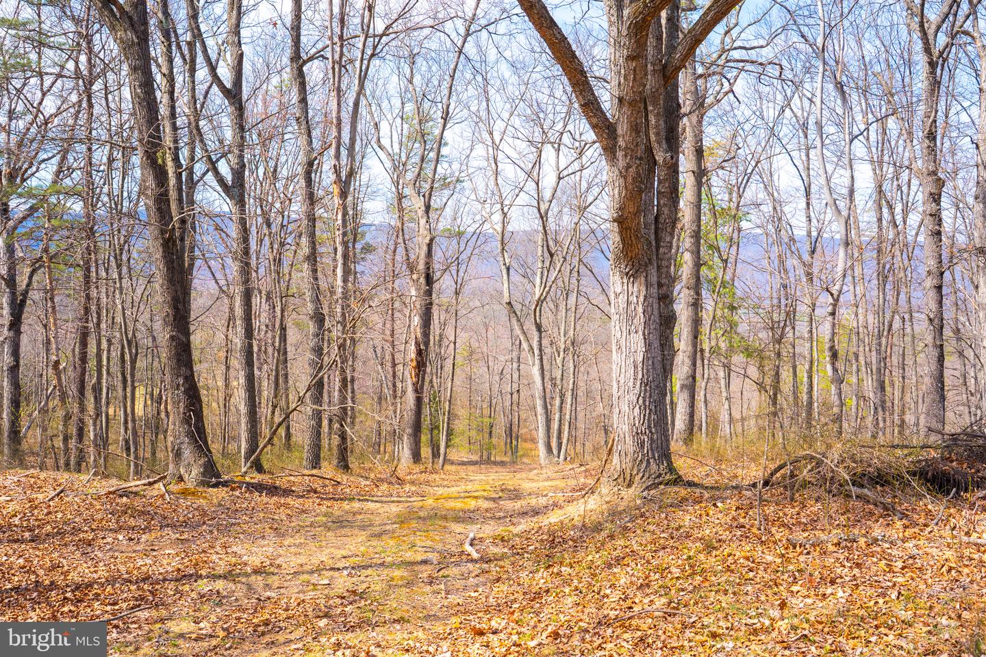 Wardensville Grade Property Photo 51