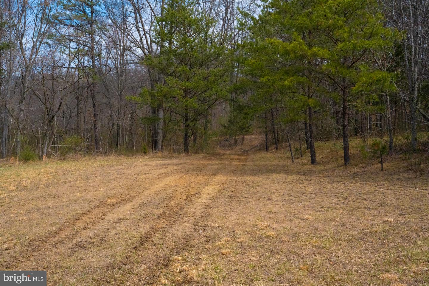 Wardensville Grade Property Photo 53