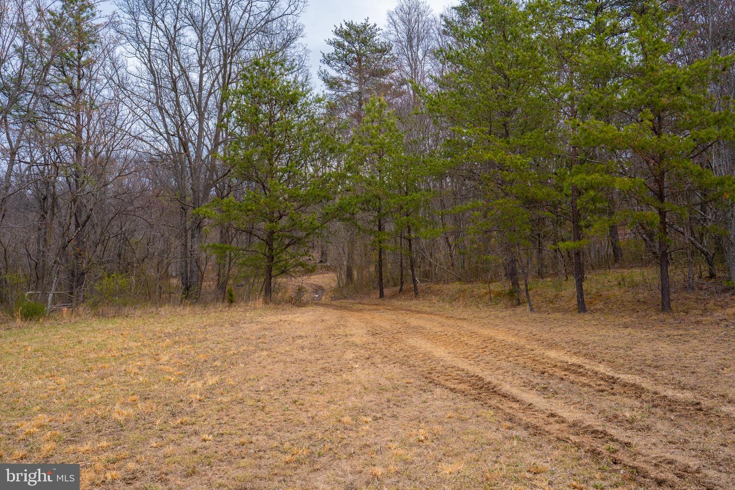 Wardensville Grade Property Photo 55