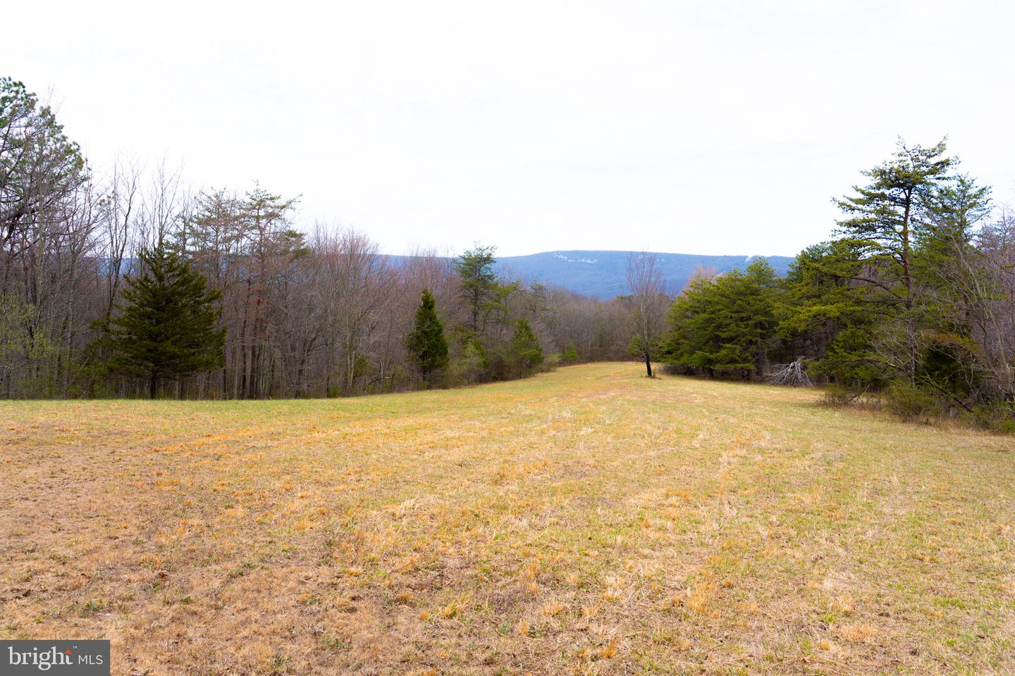 Wardensville Grade Property Photo 56