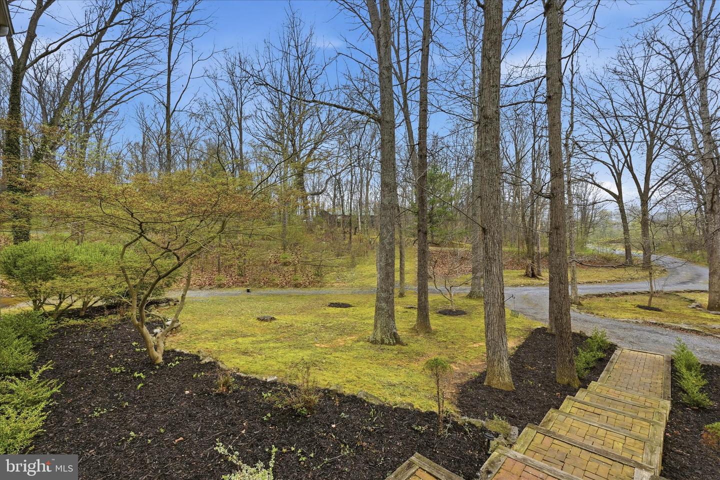 256 Brookneil Dr Property Photo 7
