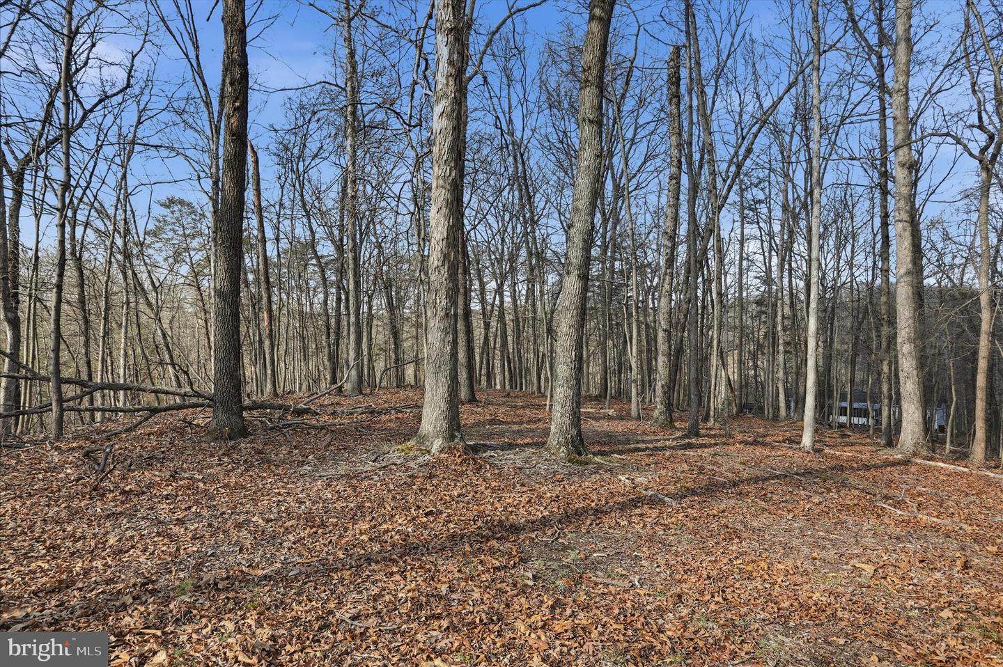Whispering Knolls Dr Property Photo 4