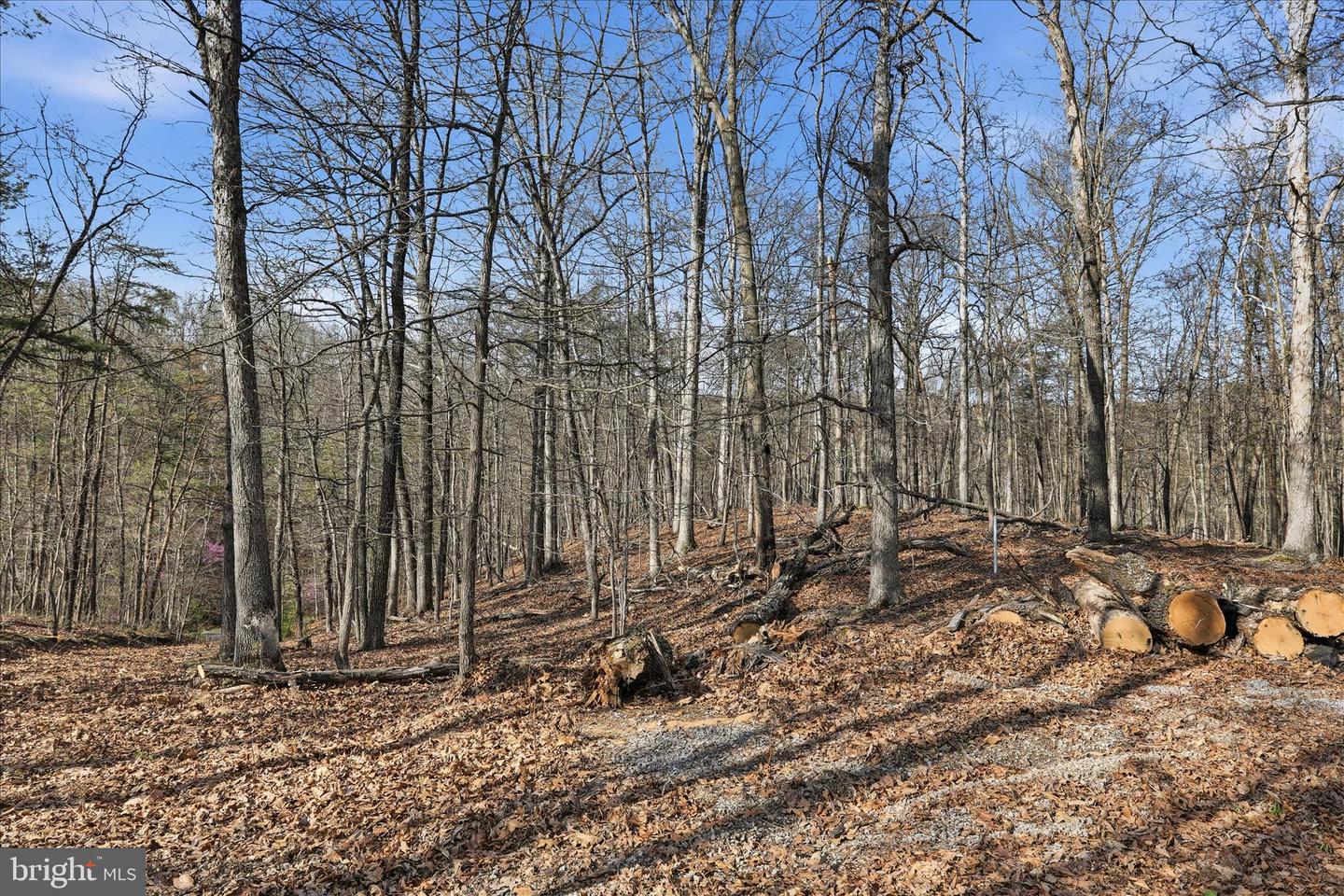 Whispering Knolls Dr Property Photo 5