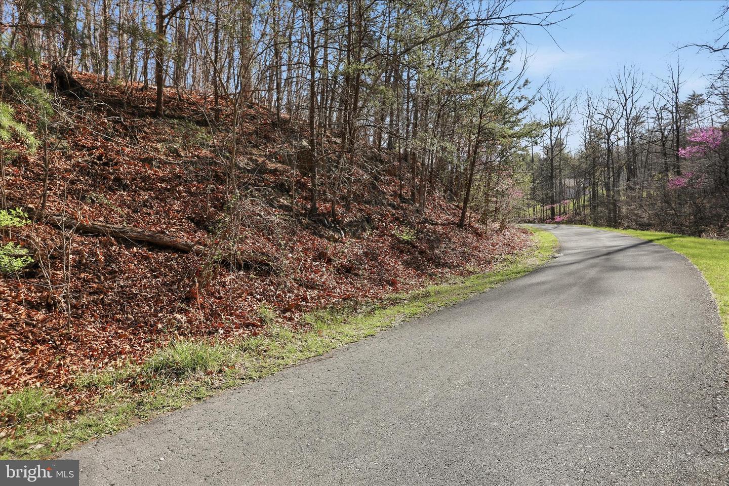 Whispering Knolls Dr Property Photo 7