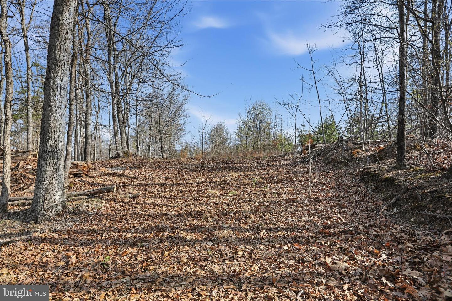 Whispering Knolls Dr Property Photo 8