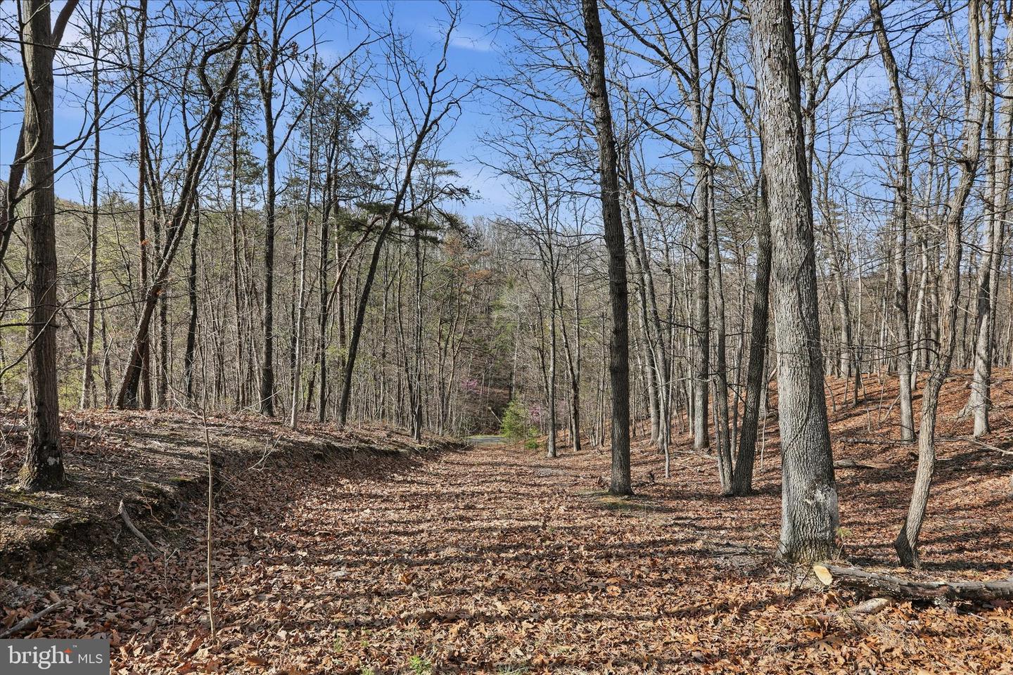 Whispering Knolls Dr Property Photo 9