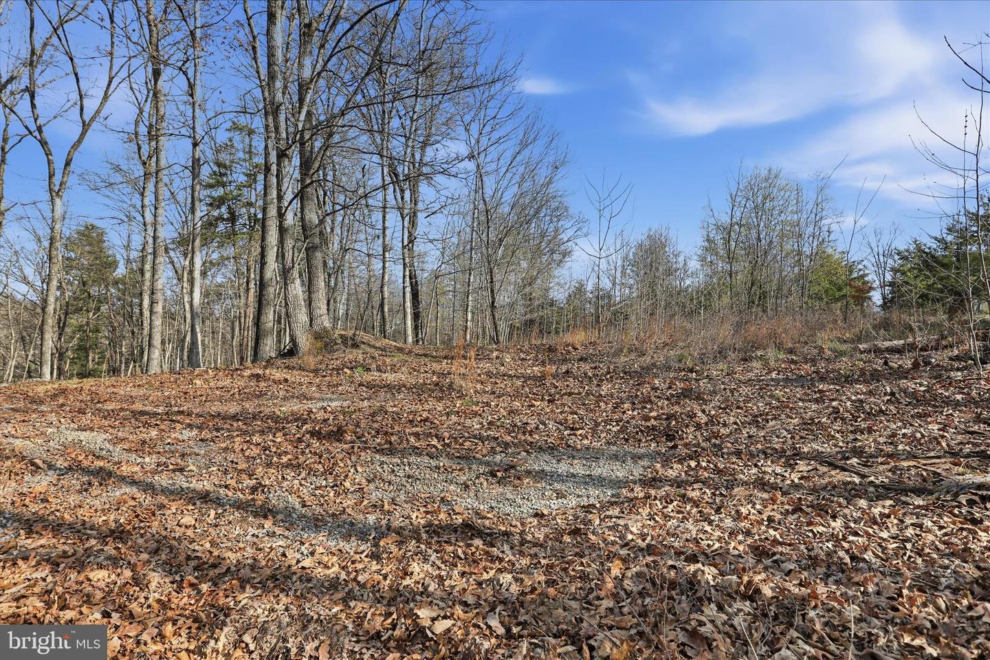 Whispering Knolls Dr Property Photo 10