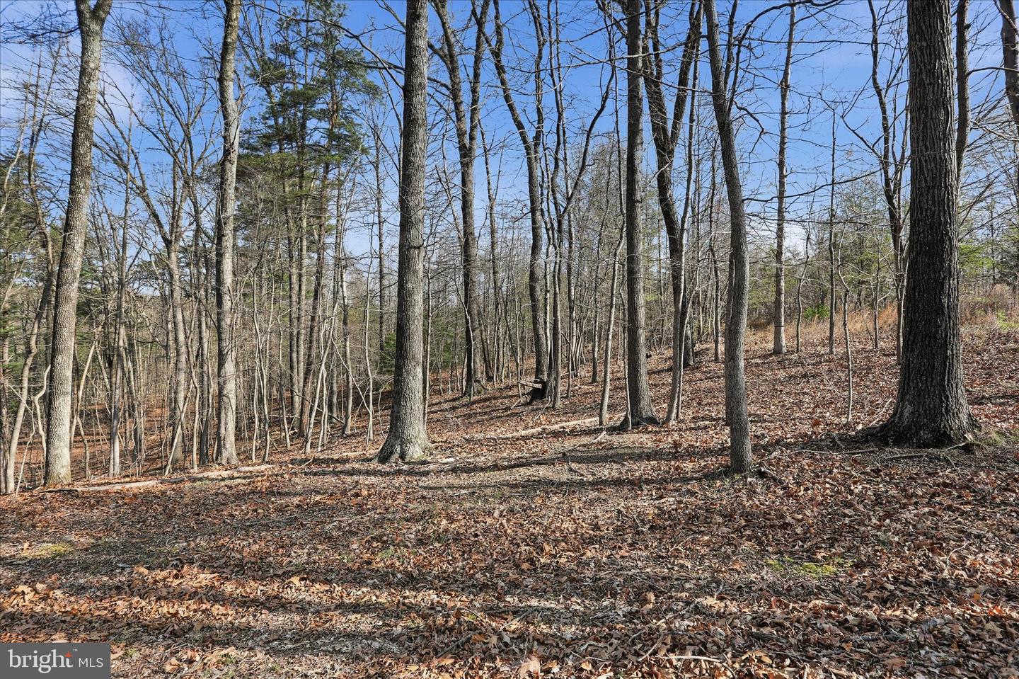 Whispering Knolls Dr Property Photo 11