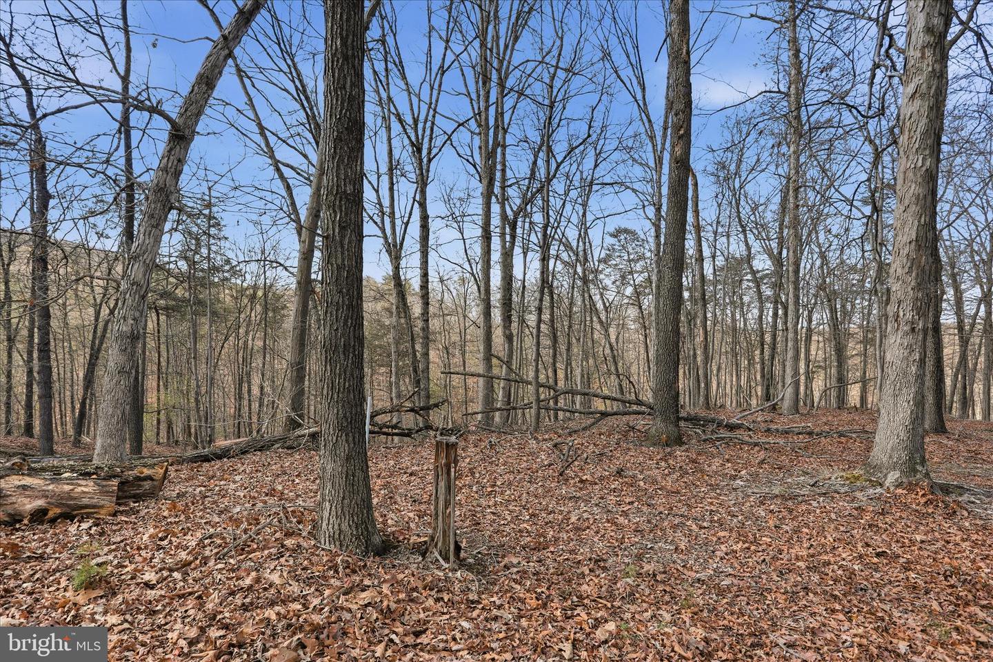 Whispering Knolls Dr Property Photo 12