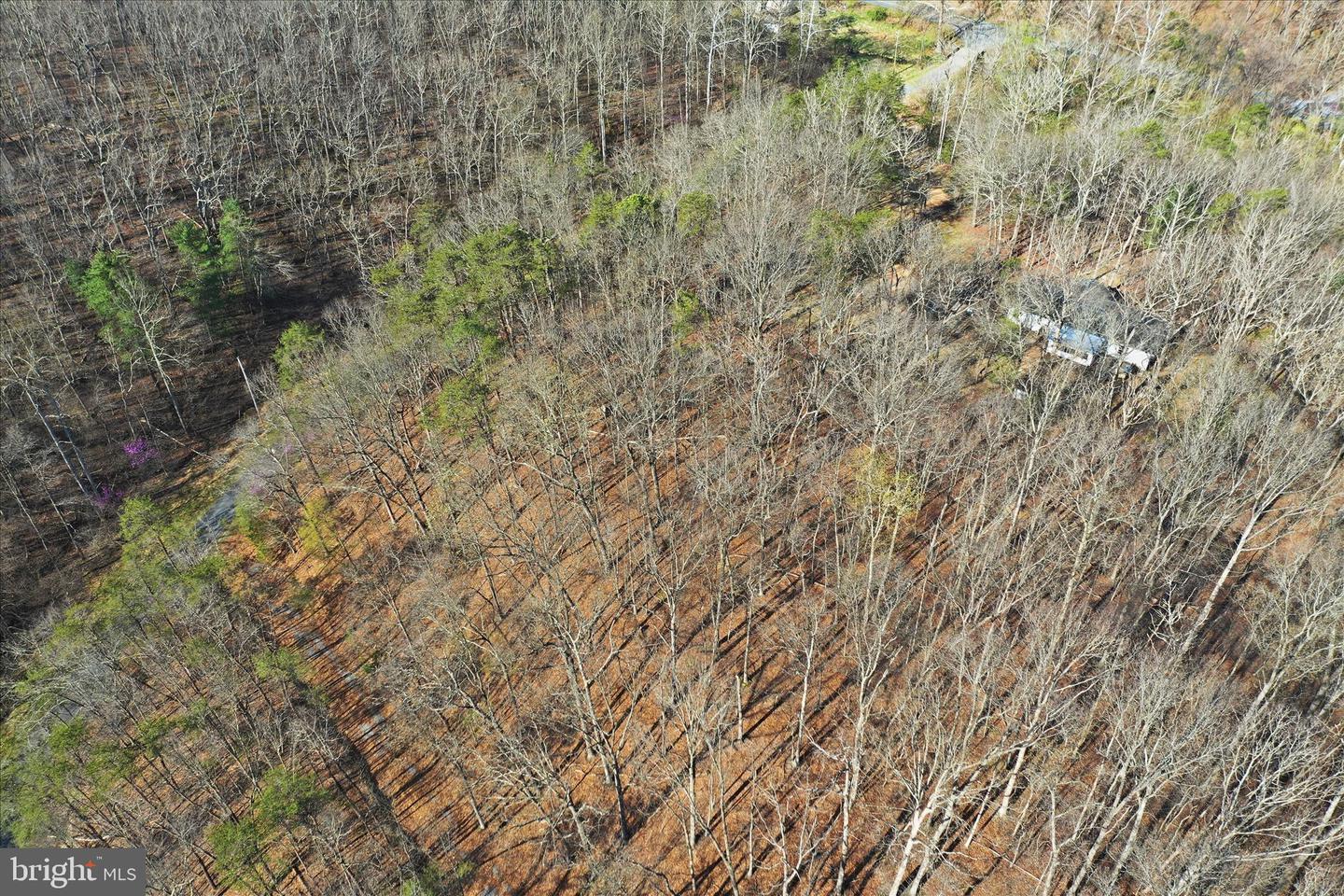 Whispering Knolls Dr Property Photo 16