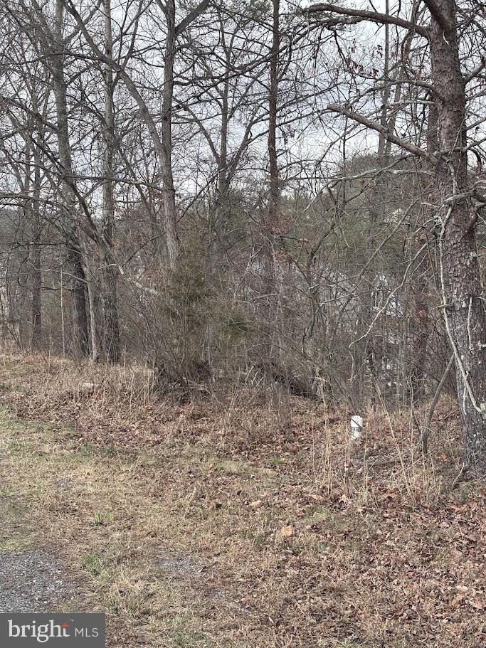 Lot #184 Sleigh Drive Property Photo 3