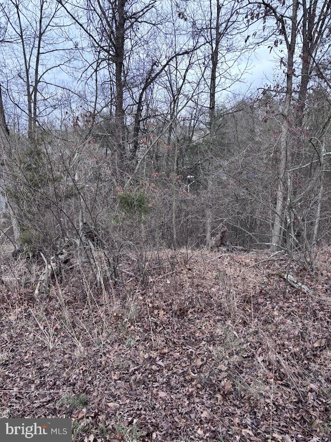 Lot #184 Sleigh Drive Property Photo 5