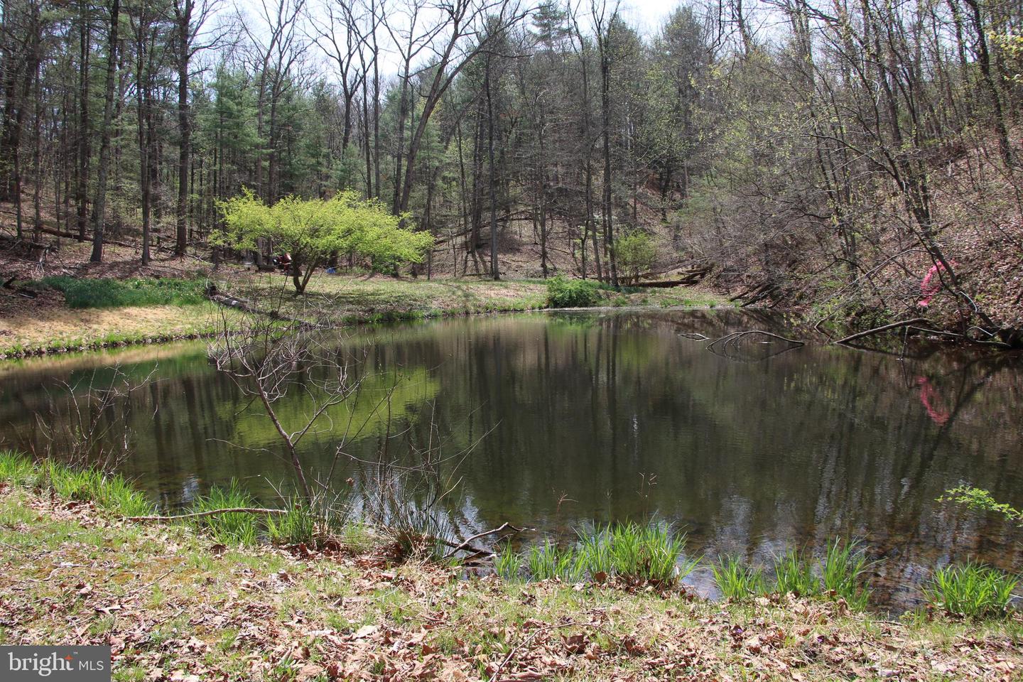 HODGES LOT 13 LN Property Photo 1