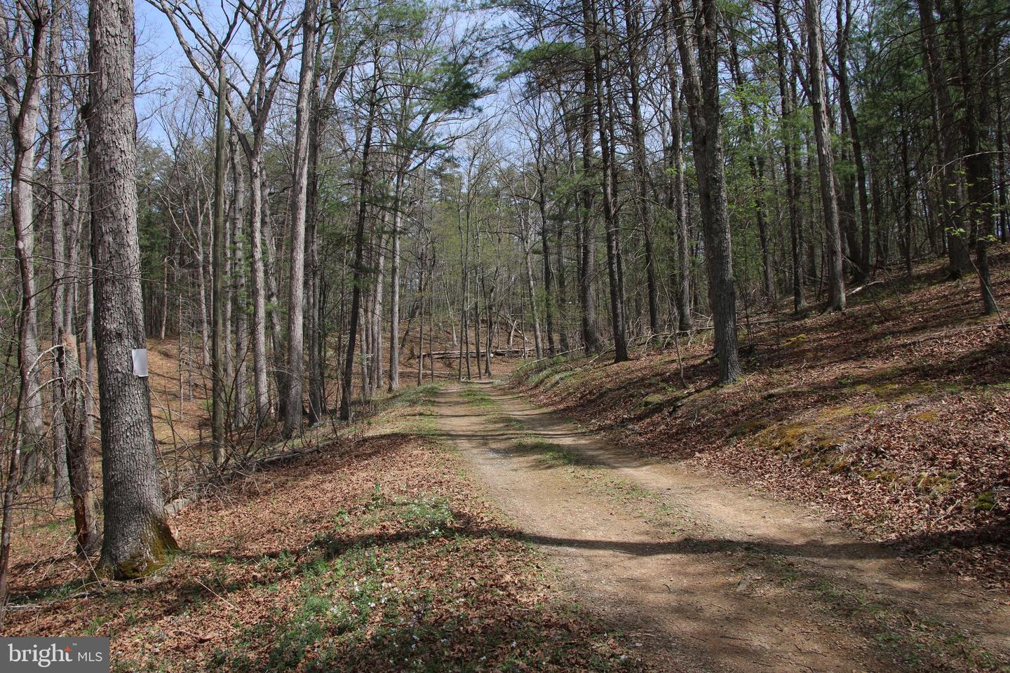 Hodges Lot 13 Ln Property Photo 2