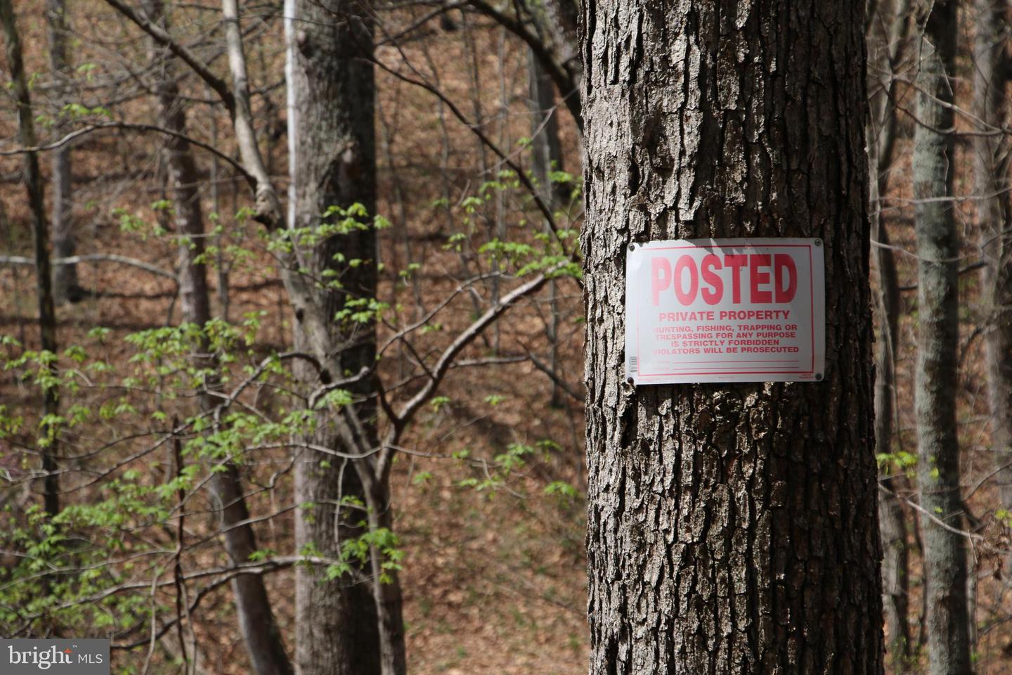 Hodges Lot 13 Ln Property Photo 3
