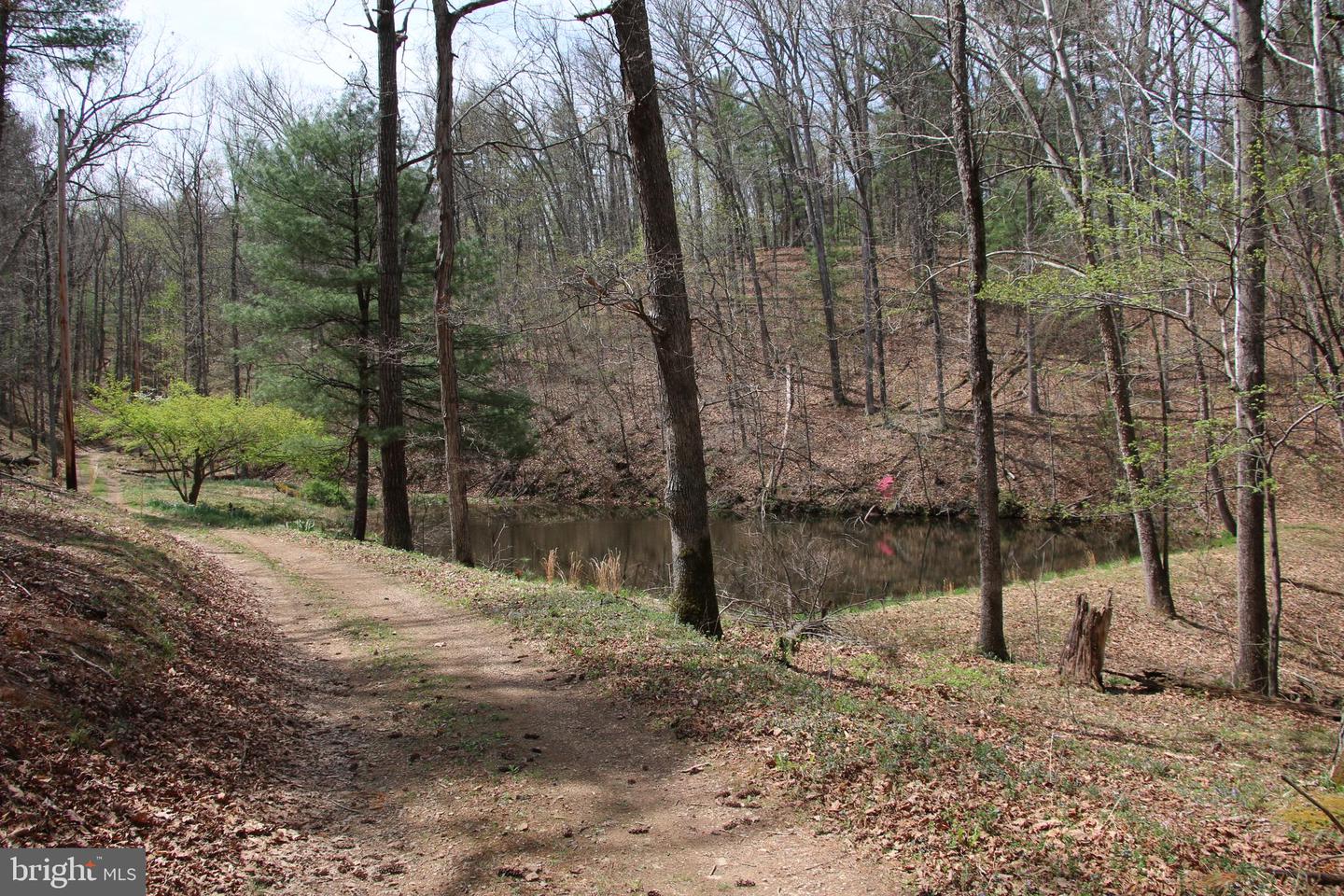 Hodges Lot 13 Ln Property Photo 4