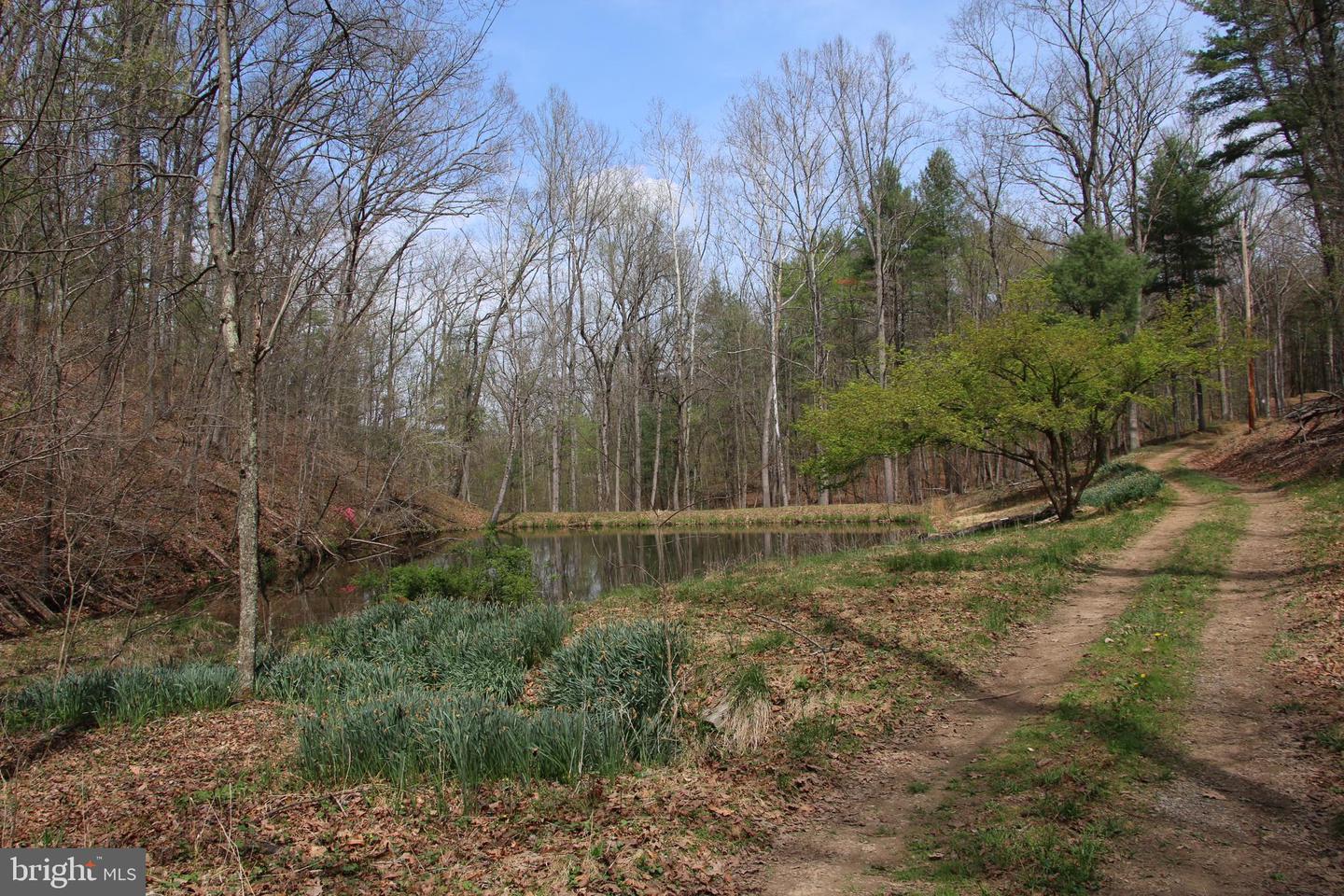 Hodges Lot 13 Ln Property Photo 5