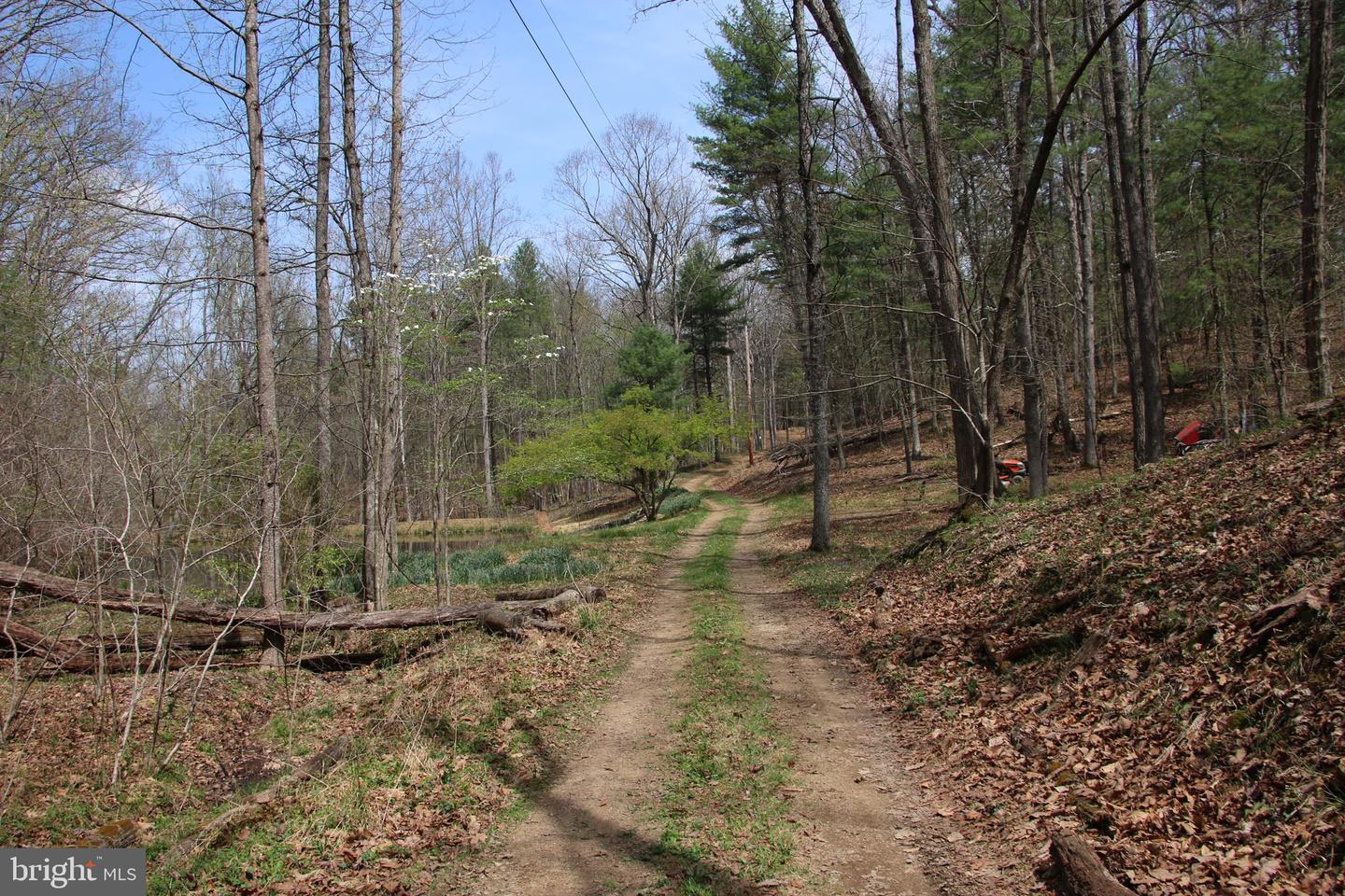 Hodges Lot 13 Ln Property Photo 6