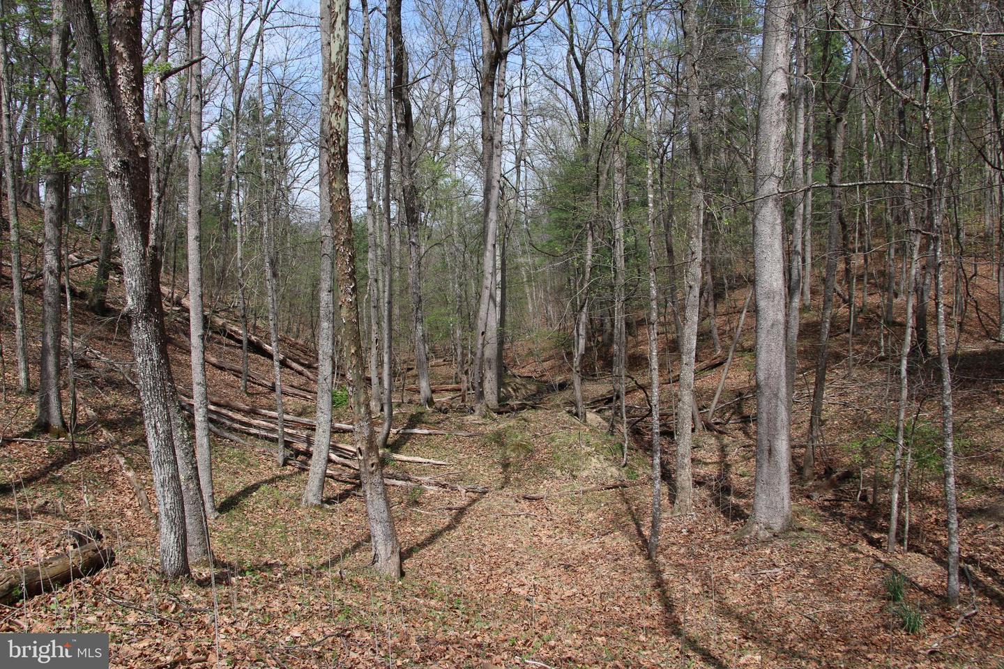 Hodges Lot 13 Ln Property Photo 7