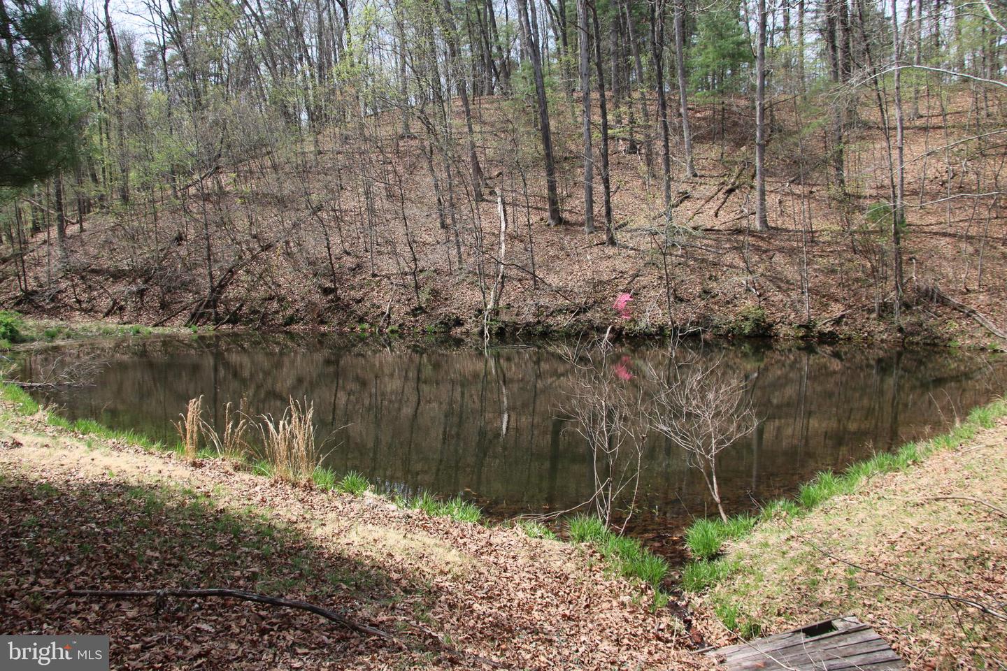 Hodges Lot 13 Ln Property Photo 8