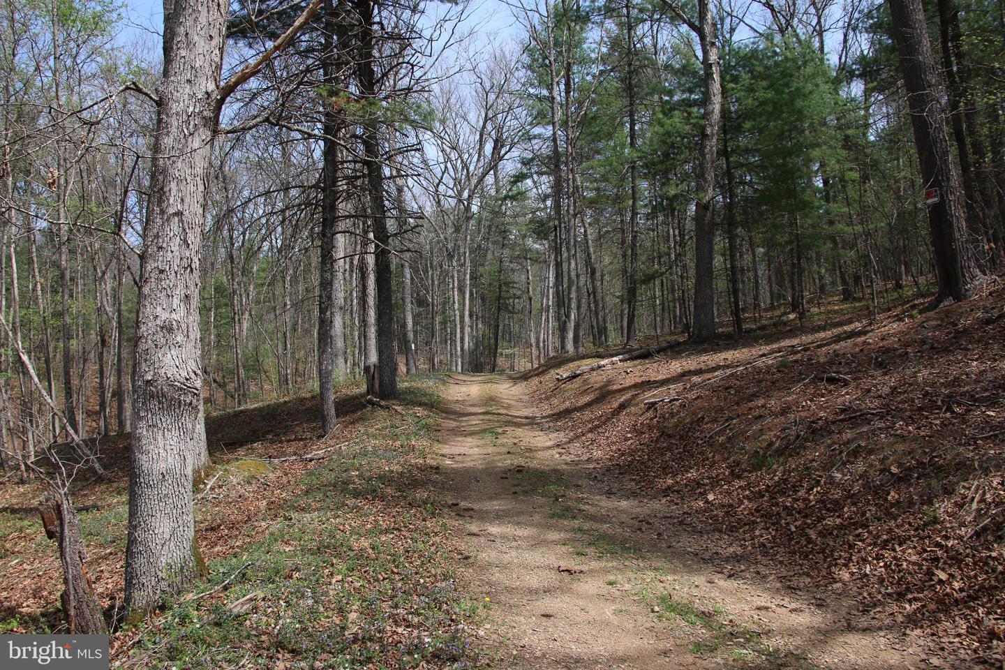 Hodges Lot 13 Ln Property Photo 9