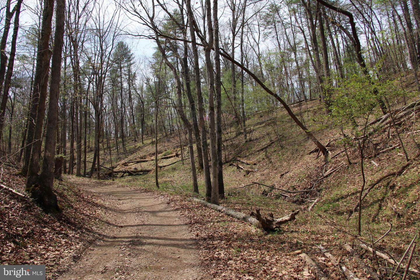 Hodges Lot 13 Ln Property Photo 10