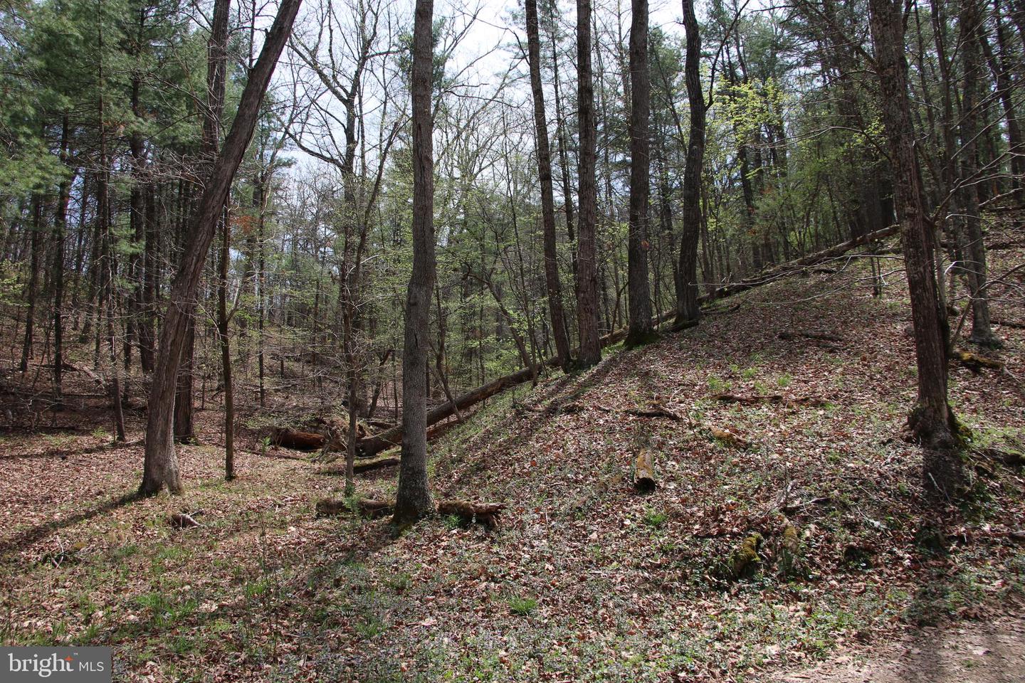 Hodges Lot 13 Ln Property Photo 11