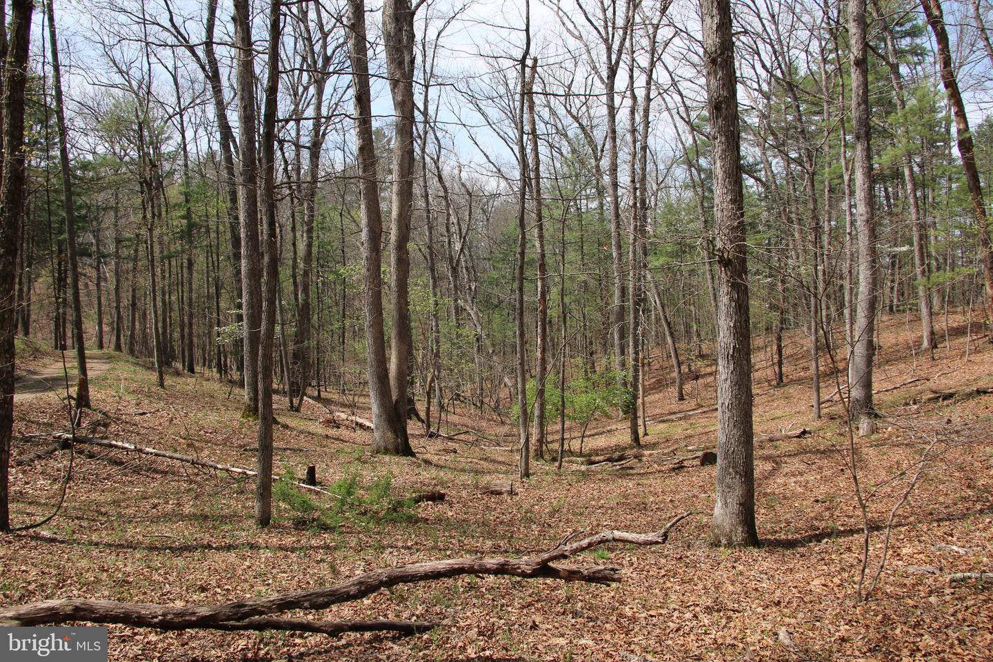 HODGES LOT 12 LN Property Photo 1