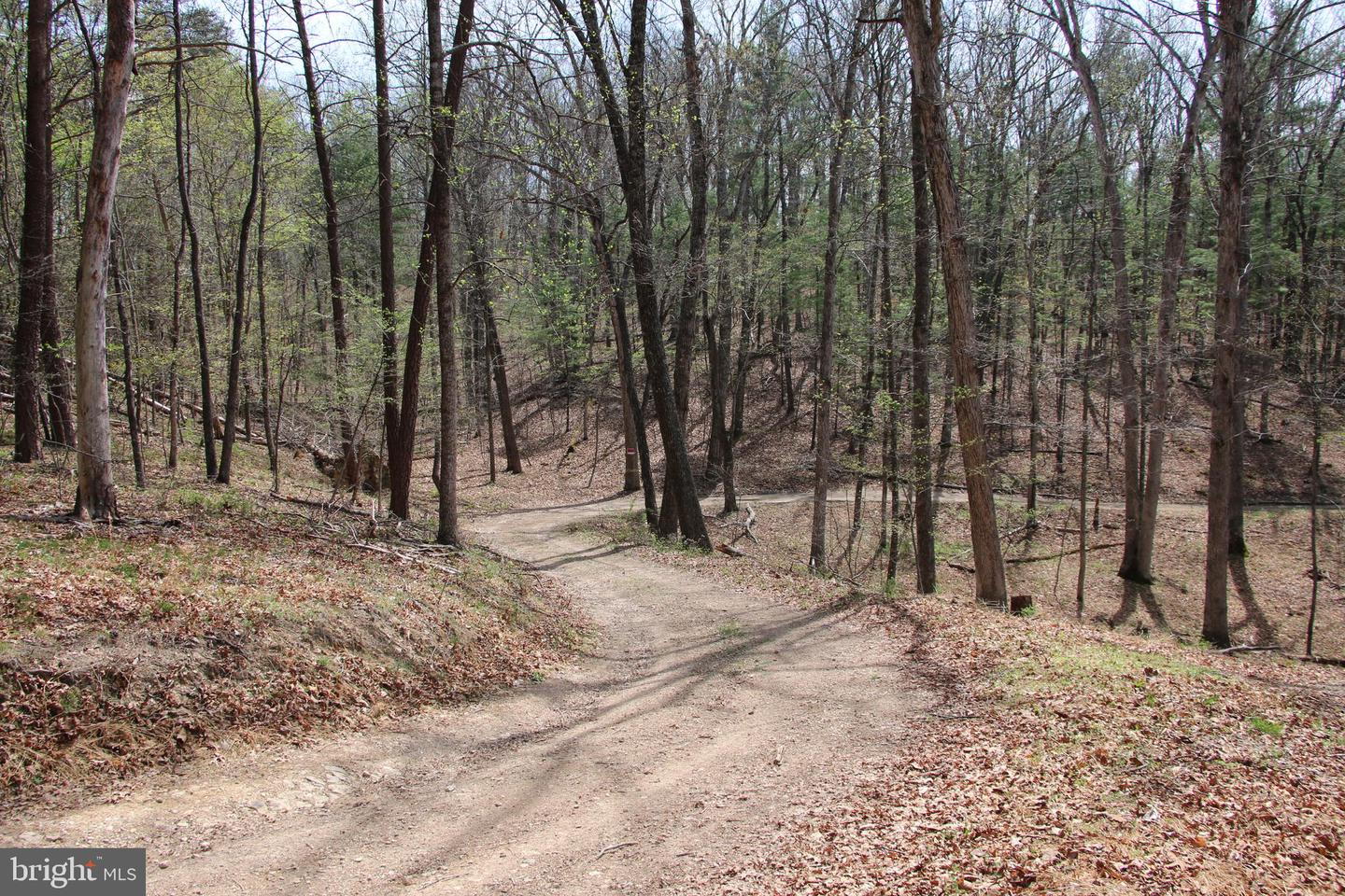Hodges Lot 12 Ln Property Photo 2