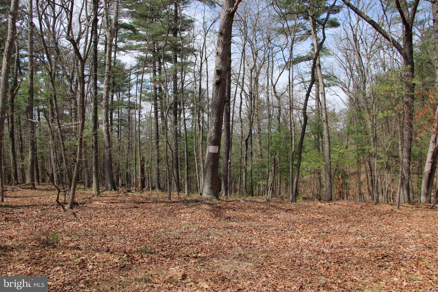 Hodges Lot 12 Ln Property Photo 3