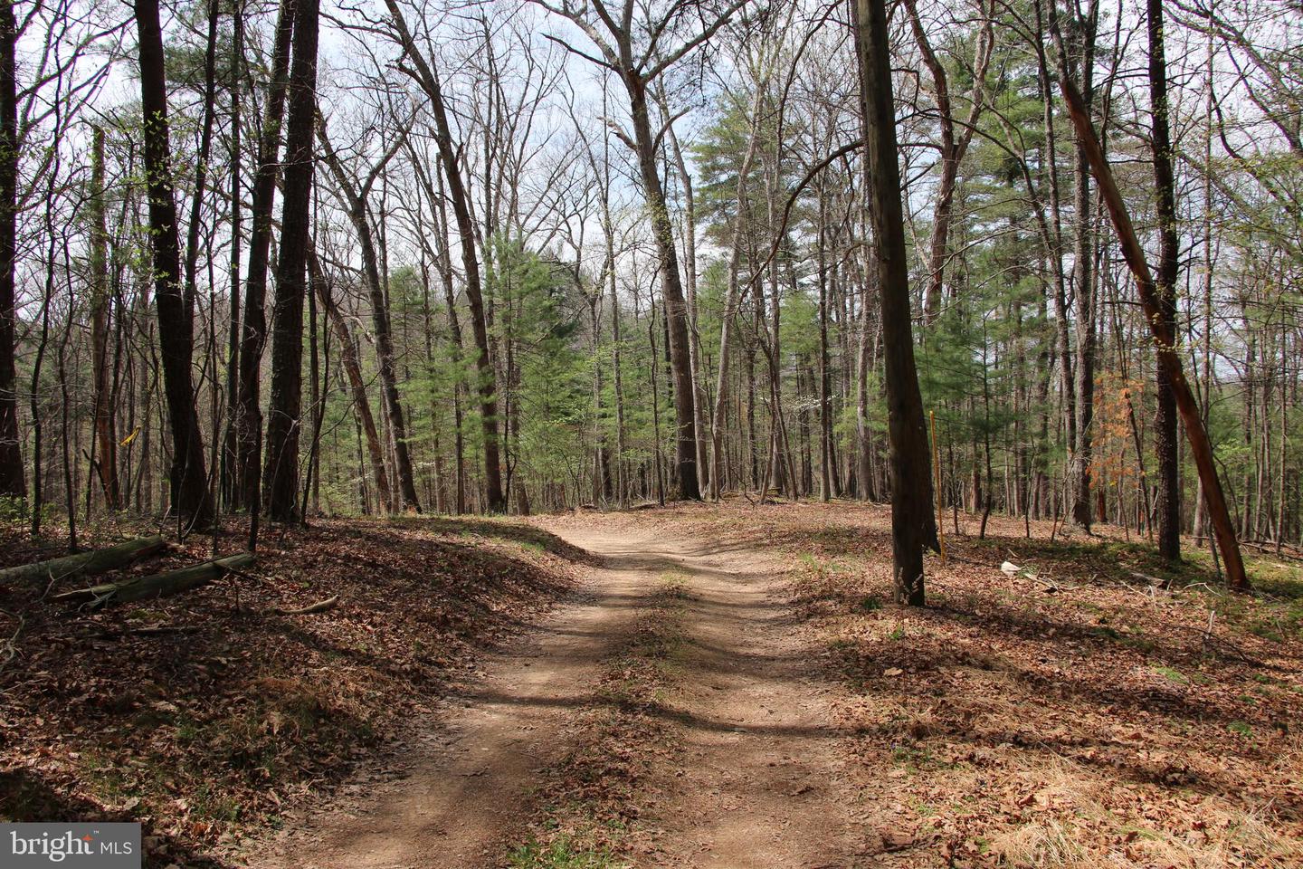 Hodges Lot 12 Ln Property Photo 4