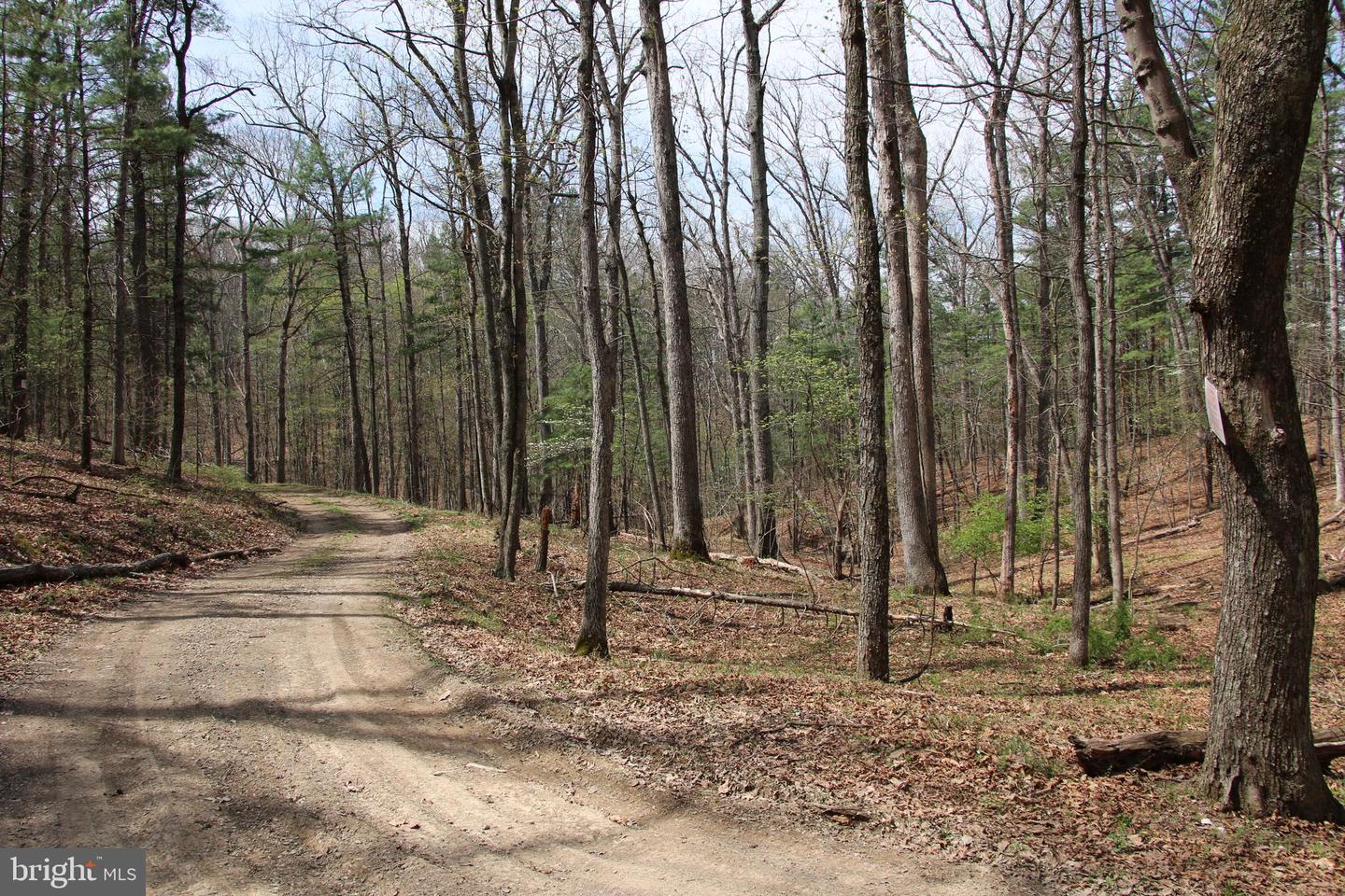 Hodges Lot 12 Ln Property Photo 5