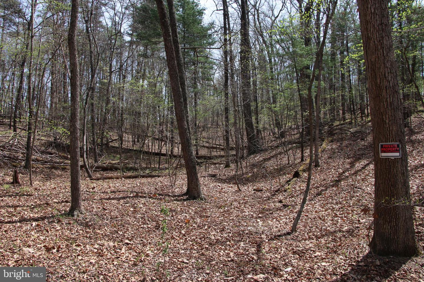 Hodges Lot 12 Ln Property Photo 6