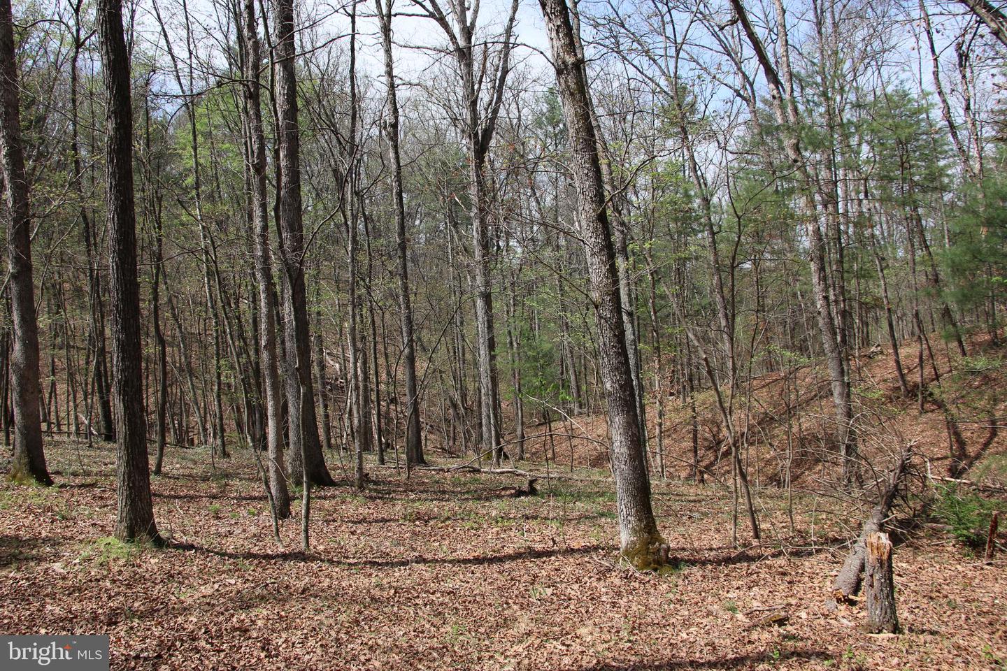 Hodges Lot 12 Ln Property Photo 7