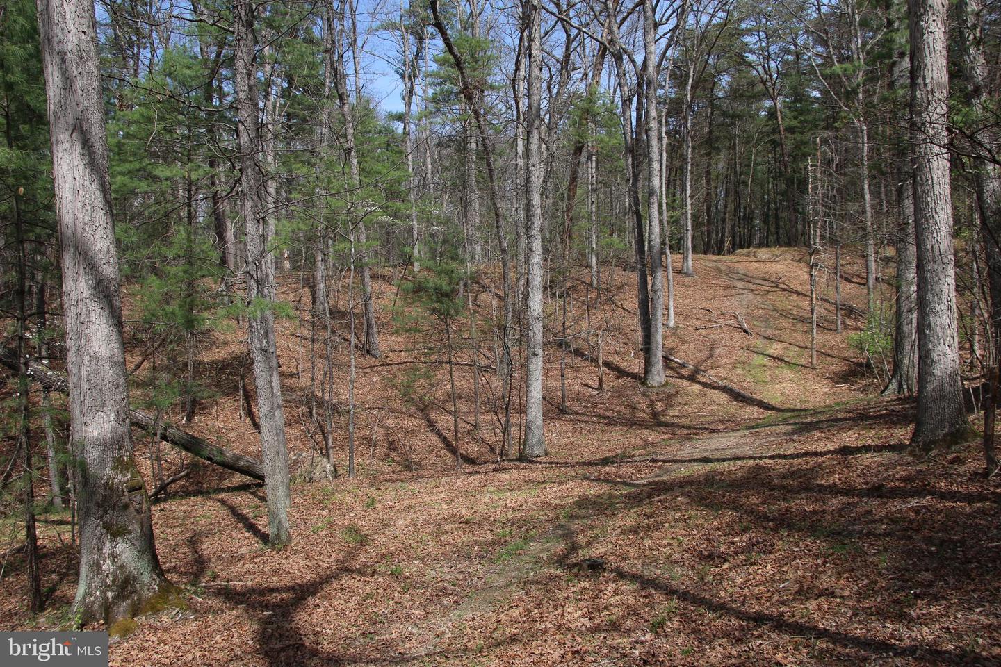 Hodges Lot 12 Ln Property Photo 8