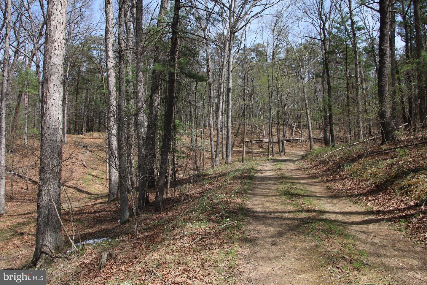 Hodges Lot 12 Ln Property Photo 9