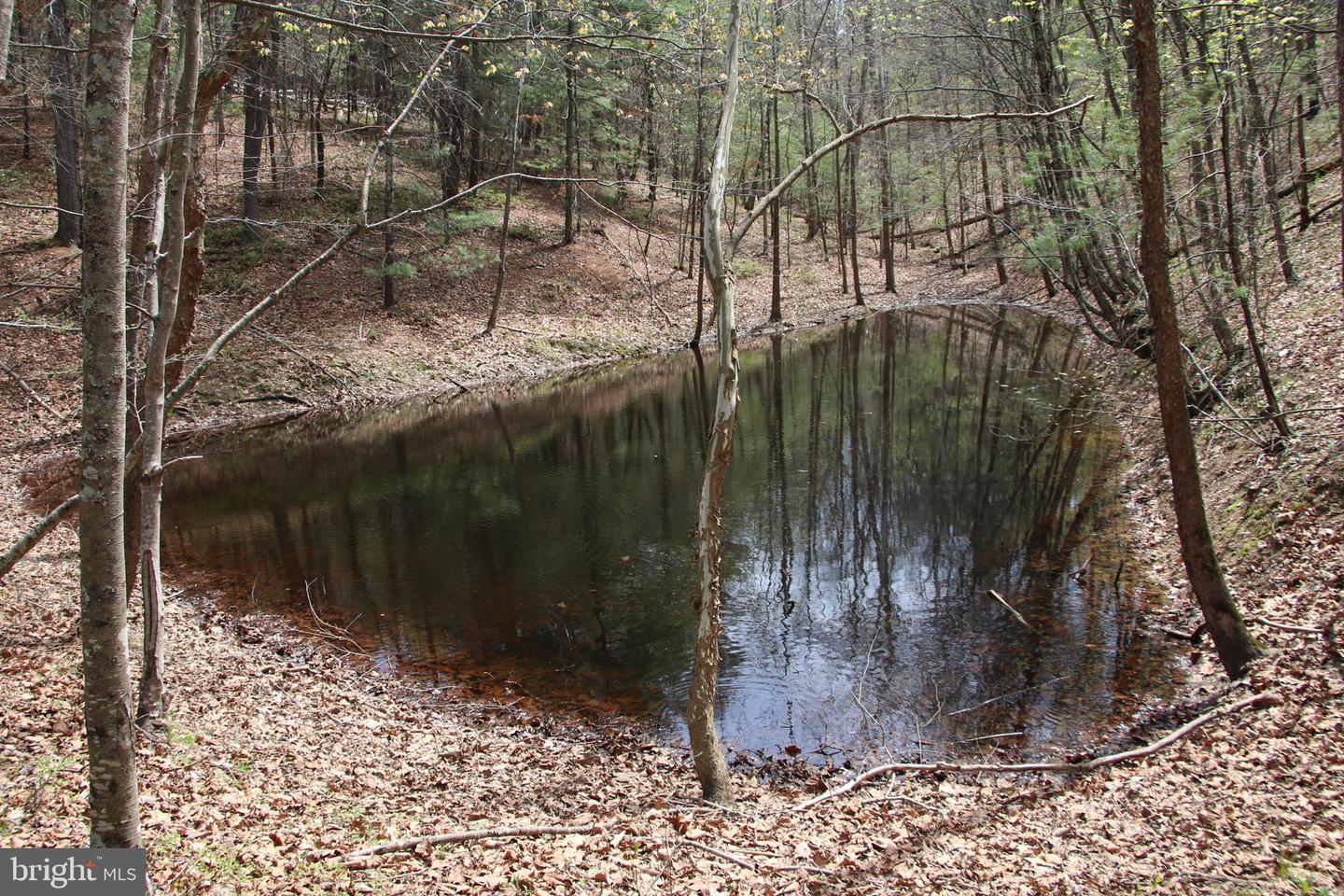 Hodges Lot 14 Ln Property Photo 1