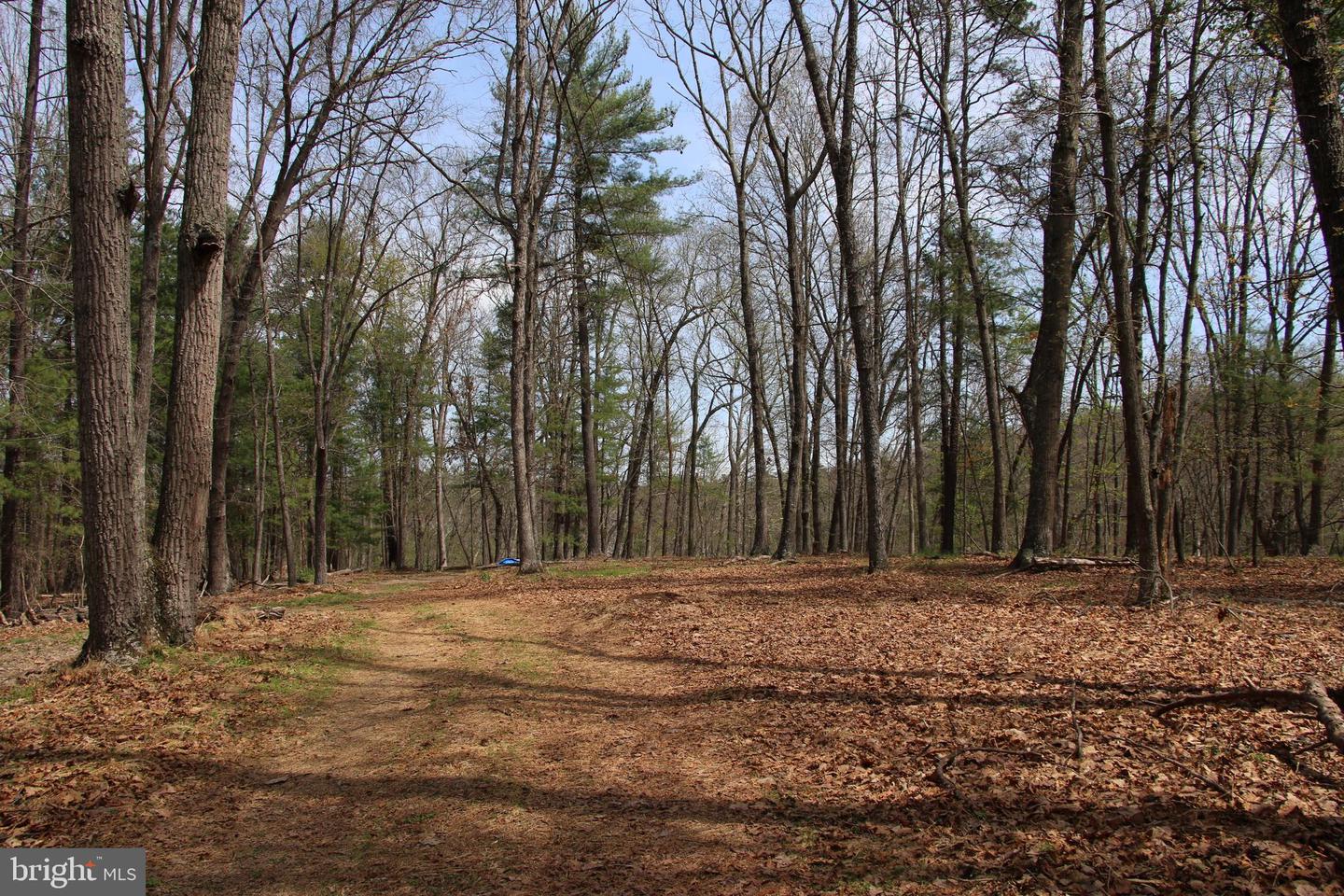 Hodges Lot 14 Ln Property Photo 2