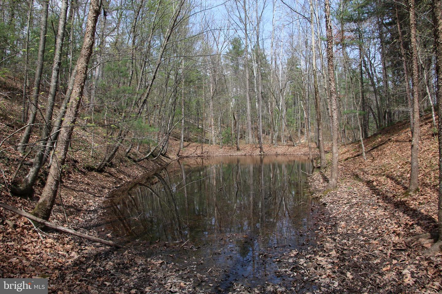 Hodges Lot 14 Ln Property Photo 3