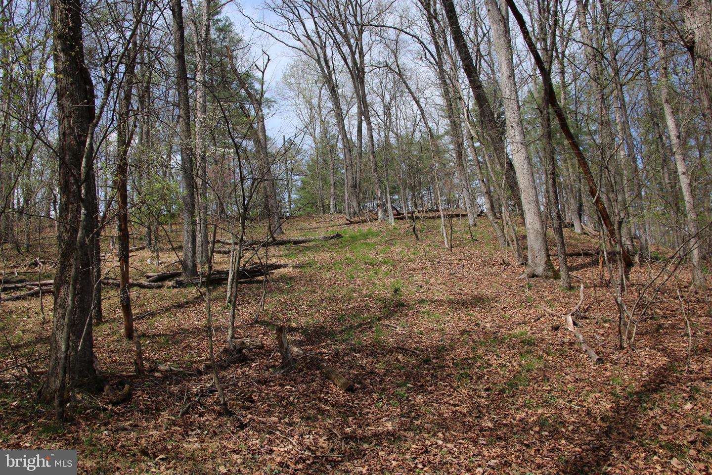 Hodges Lot 14 Ln Property Photo 4