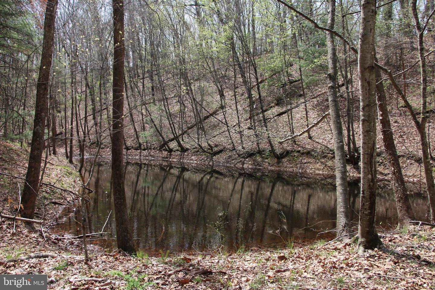 Hodges Lot 14 Ln Property Photo 5
