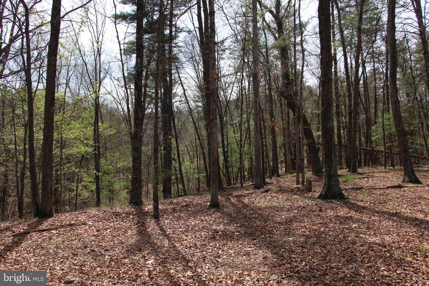 Hodges Lot 14 Ln Property Photo 6