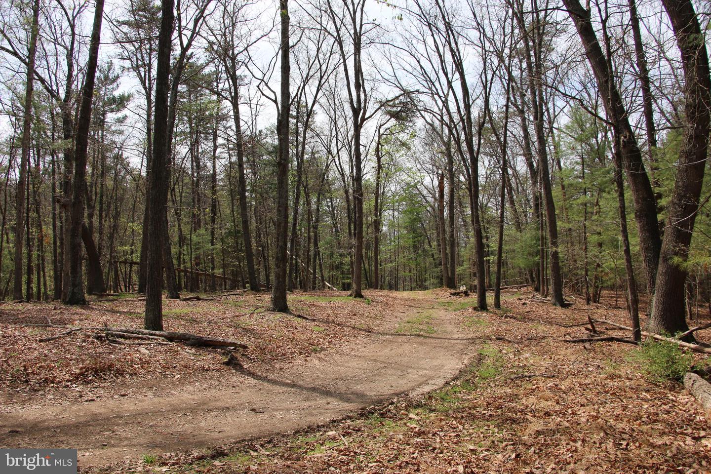 Hodges Lot 14 Ln Property Photo 7