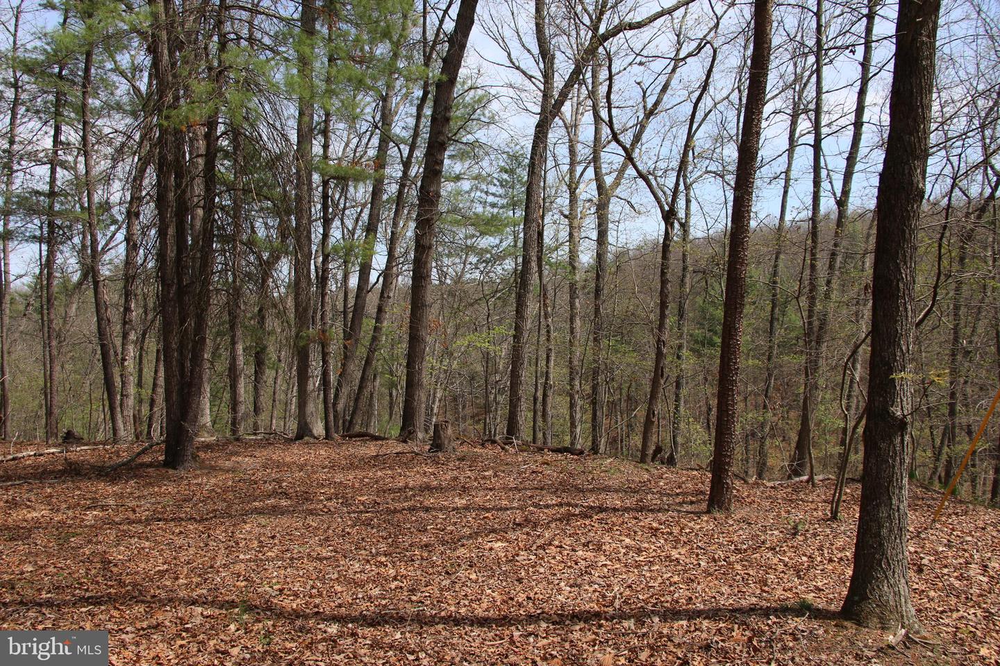 Hodges Lot 14 Ln Property Photo 8